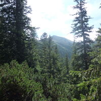 nicht mehr sehr weit