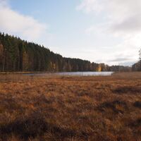 AATE-PEKKA-PFAD
