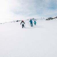 Schneeschuhtrail Prodalp-Panüöl