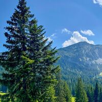 am Beginn der MTB Tour "465 Rund um den Guffert"