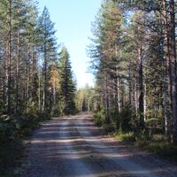 Forstweg