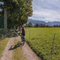 Mountainbikerin auf der Sonnseitn Runde