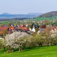 Gammelshausen