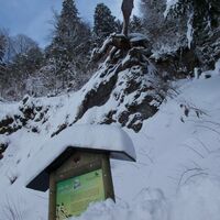 Drachen-Winterwanderung Seerundgang Schwarzsee