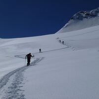 Über den Kleinleitenferner in Richtung Schalfjoch 3375m