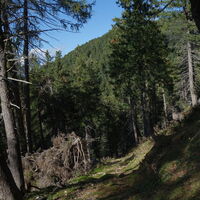 Abstieg am Blauweg