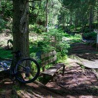 Stallaalm-Runde | Rastplatz 