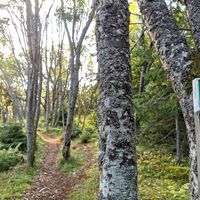 Herrainpäivien Naturpfad