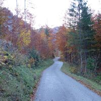 am Rückweg