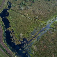Dalum-Wietmarscher Moor – Luftaufnahme Landschaft 03 ©Naturpark Moor-Veenland, Holger Leue.JPG
