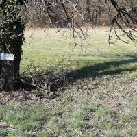 nahe Forsthaus Rehstein