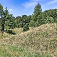 Der höchste Punkt der Wanderung eine Weidefläche