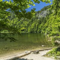 Feldsee