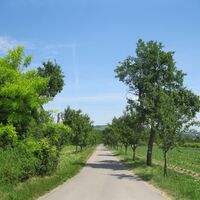 Furth/Göttweig - Krems