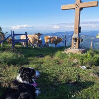 Burgspitz