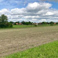 Auf dem Linsweger Esch