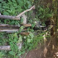 Wasserrinne