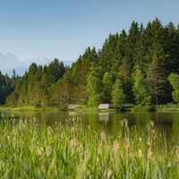 Wildsee im Sommer