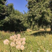 Wanderweg bei güttingen