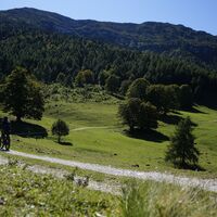 Der erste Abschnitt auf der Forststraße zwischen den Wiesen der Malga Campo