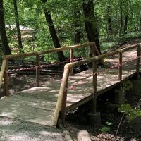 Rundweg Wildschweingatter