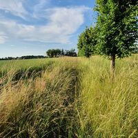 Altmarkrundkurs bei der Hansestadt Werben