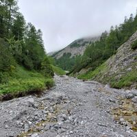 Vadi