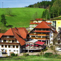 Naturpark-Hotel Adler in St. Roman