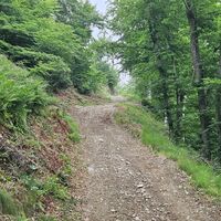 Uphill zum Rocca dei Corvi