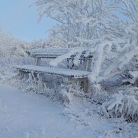 Winterimpressionen in Neuhausen/Erzge.