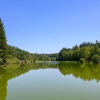 Am gestauten Gamsbach