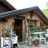 Alpe Schönesreuth