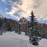 Unser Umkehrpunkt - die Mödringalm