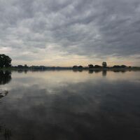 Elbufer in Wittenberge