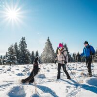 Schneeschuhwandern am Brandl