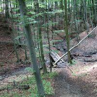 fast zerstörte Bachbrücke