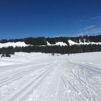 Schön angelegte Loipe durch das Hochmoor am Hochhäderich