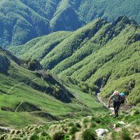 Die letzten Meter vor dem Gipfel; darunter Frühjahrswälder über dem Tanamea-Pass