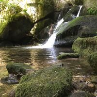 Zum Höllbachfall im Hotzenwald