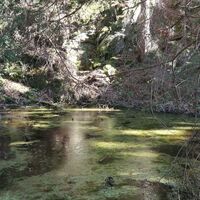 Wanderung rund um Burglemnitz