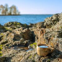 Kuhasalo Kalmoniemen Küstenfelsen