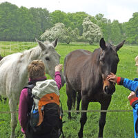 Zwei Wanderinnen mit Pferden in Delventhal