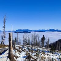 Blick nach Osten, li. der Traunstein