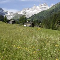 Gauertal und Drei Türme