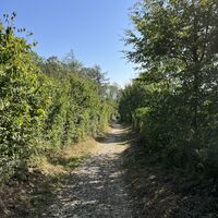 .. und weiter auf stimmigem Wegerl abwärts Richtung Agnesgasse