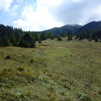 und sieht den Ameisbühel (Amaißbichl)