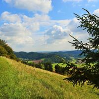 Grasweg auf dem Geschichtspfad Welleringhausen