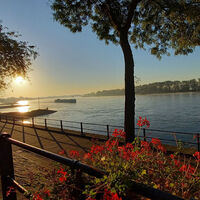 Sonnenaufgang an der Rheinpromenade