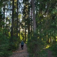 Aulanko hat Künstler inspiriert, darunter Jean Sibelius