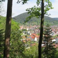 Calmbach mit Meisternkopf